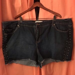 Torrid Shorts